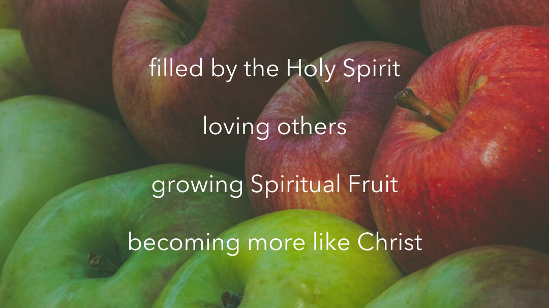 Why the Spiritual Seeds Planner?