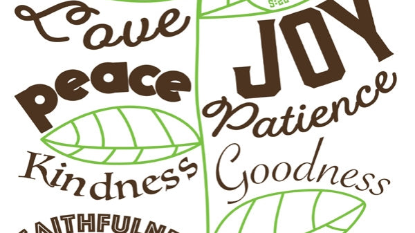 What if God Created Your Vision Board?